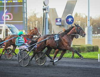 Jushua Tree remporte le Prix Marcel Laurent