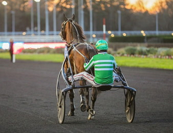 Jushua Tree triomphe à quatre semaines du Prix d'Amérique Legend Race