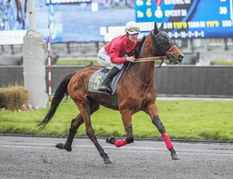Kapaula de l'Epine s'impose au niveau Groupe 1 ce dimanche à Vincennes.
