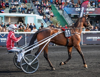 Keep Going monstrueux