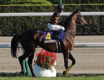 Kitasan Black a remporté la prestigieuse Japan Cup