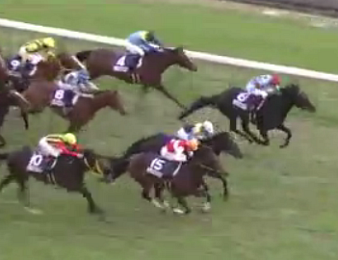 L'arrivée de la Japan Cup 2015