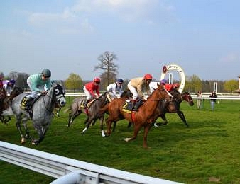 L'Ecurie des Parieurs RMC est viable