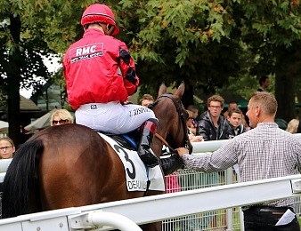 L'écurie RMC 2014 compte actuellement 14 gagnants