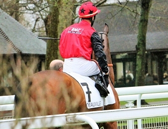 L'écurie RMC 2014 réunira des trotteurs et des galopeurs