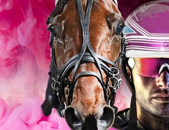 L'Elitloppet 2020 se disputera ce dimanche 1er juin à Solvalla.