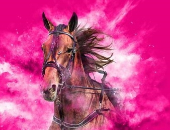 L'Elitloppet 2022 aura lieu à Solvalla le dimanche 29 juin.