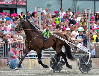 L'Elitloppet 2025 aura lieu le 25 mai prochain à Sovalla.