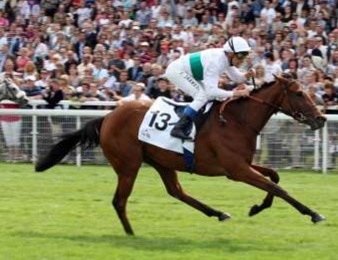 L'heure de la retraite a sonné pour Moonlight Cloud