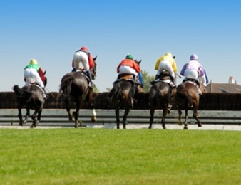 L'hippodrome d'Auteuil accueillait son dernier Groupe I de l'année