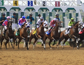 L'hippodrome de Del Mar accueillait la Bredeer's Cup Classic ce samedi 6 novembre.