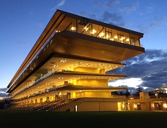 L'hippodrome de Longchamp accueillera les Parisiens 7 jours sur 7