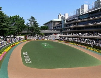 L'hippodrome de Tokyo accueille la Japan Cup