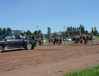 L'hippodrome de Vichy accueille la Speed Cup
