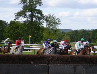 L'irlandais Thousand Stars a retenu son titre dans la Grande Course de Haies d'Auteuil