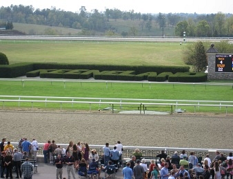 La Breeders' Cup 2015 a lieu à Keeneland