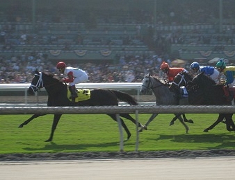 La Breeders' Cup 2016 a lieu vendredi 4 et samedi 5 novembre à Santa Anita