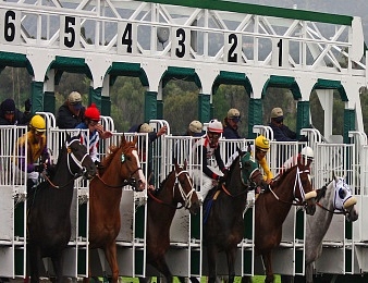 La Breeders' Cup Mile avait lieu à Santa Anita