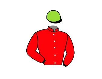 La célèbre casaque de la marquise de Moratalla au galop