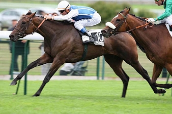 La championne Goldikova s'en est allée.