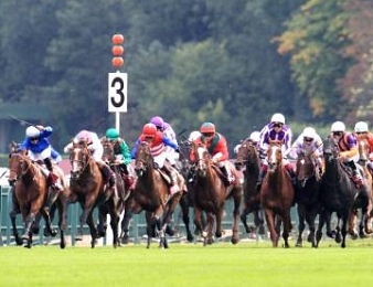 La championne Snow Fairy s'était classée troisième de l'Arc 2011