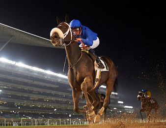 La Dubai World Cup est annulée