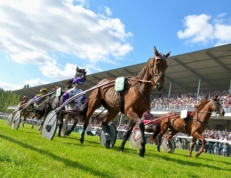 La finale du Trophée Vert à Craon : théâtre du premier quinté+ au trot sur l'herbe