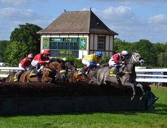 La Grande Course de Haies d'Auteuil a lieu dimanche 8 juin