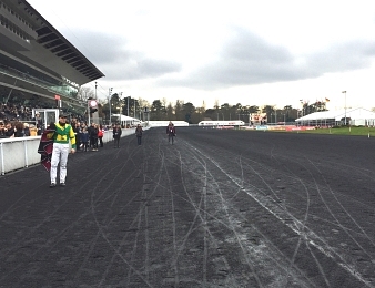 La journée du Prix d'Amérique se dispute ce dimanche 29 janvier à Vincennes