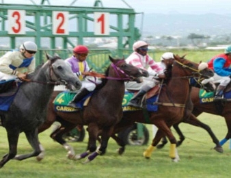 La Martinique à l'honneur au travers de 3 courses premium PMU diffusées sur Equidia
