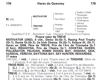 La petite soeur de Trêve représentera le lot 176 des ventes d'août Arqana