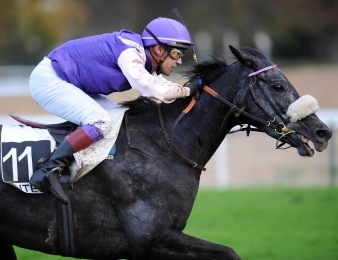 La Segnora remporte le Grand Prix d'Automne