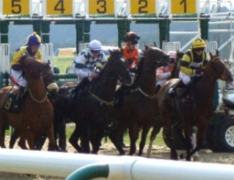 La succession à Young Tiger est ouverte à Cagnes-sur-Mer