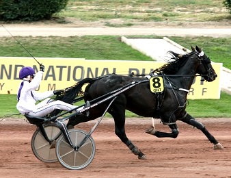 La succession de Quif de Villeneuve est ouverte !