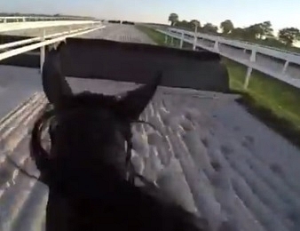 La vidéo de l'entraînement de Milord Thomas
