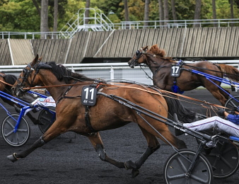Lancier du Goutier est revanchard