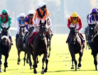 Lauréate d'Arc, Danedream attend un petit Frankel