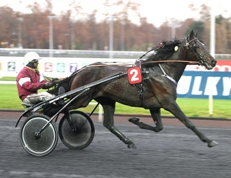 Le Cannibale ne manque pas ses débuts à Vincennes