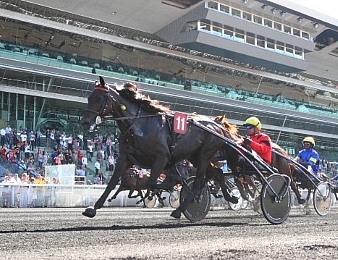 Le champion Traders est parvenu à dominer le crack Bold Eagle