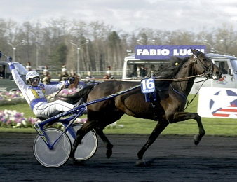 Le champion Varenne est mort à l'âge de 31 ans