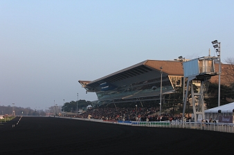 Le Critérium des 5 ans se dispute ce samedi 29 aout à Vincennes.