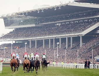 Le festival de Cheltenham a lieu du mardi 13 au vendredi 16 mars