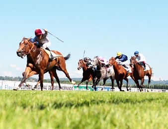 Le Grand Handicap de Saint-Cloud, Quinté + PMU du dimanche 29 octobre