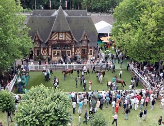 Le Grand Handicap des Sprinters, Quinté+ du samedi 23 août 2014 à Deauville