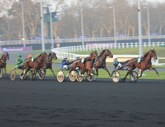 Le Grand Prix d'Afrique (Px de Champtocé), quinté+ PMU du dimanche 5 février à Vincennes