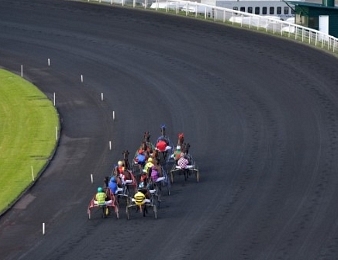 Le Grand Prix d'Afrique, Quinté + PMU du dimanche 4 février à Vincennes