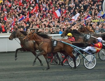 Le Grand Prix d'Amérique 2019 est programmé le dimanche 27 janvier