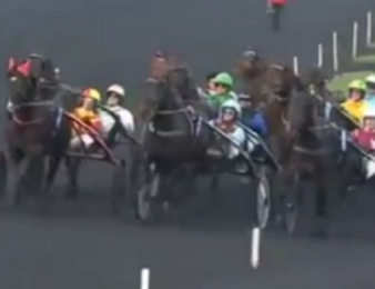 Le Grand Prix d'Amérique avait lieu dimanche 25 janvier 2015 à Vincennes