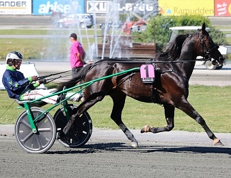 Le Grand Prix de Bourgogne, quinté + PMU du dimanche 29 décembre à Vincennes