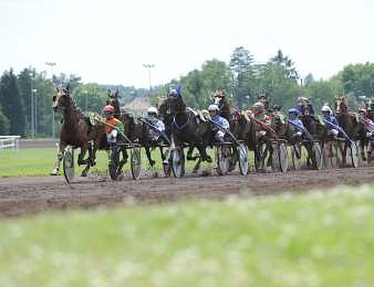 Le Grand Prix de la région Normandie, Quinté + PMU du mercredi 19 juillet 2017